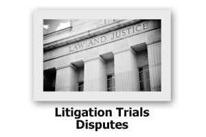 Litigation Trials Disputes